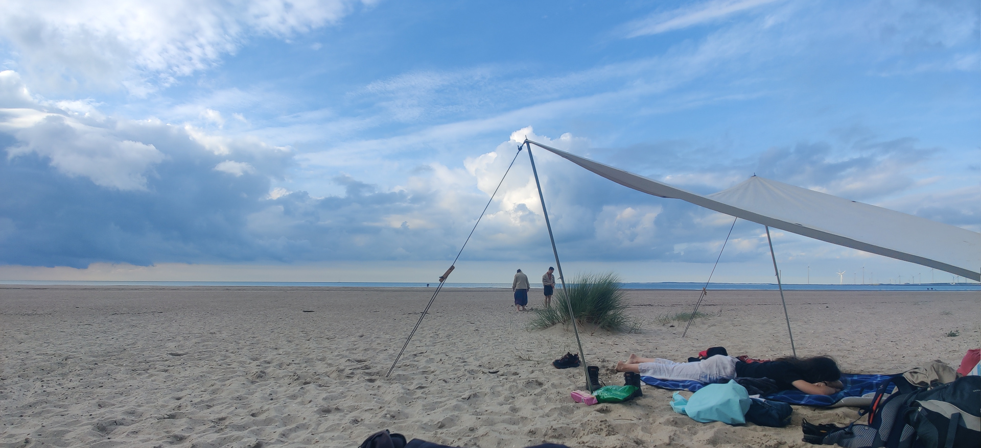 Rover in Zeeland