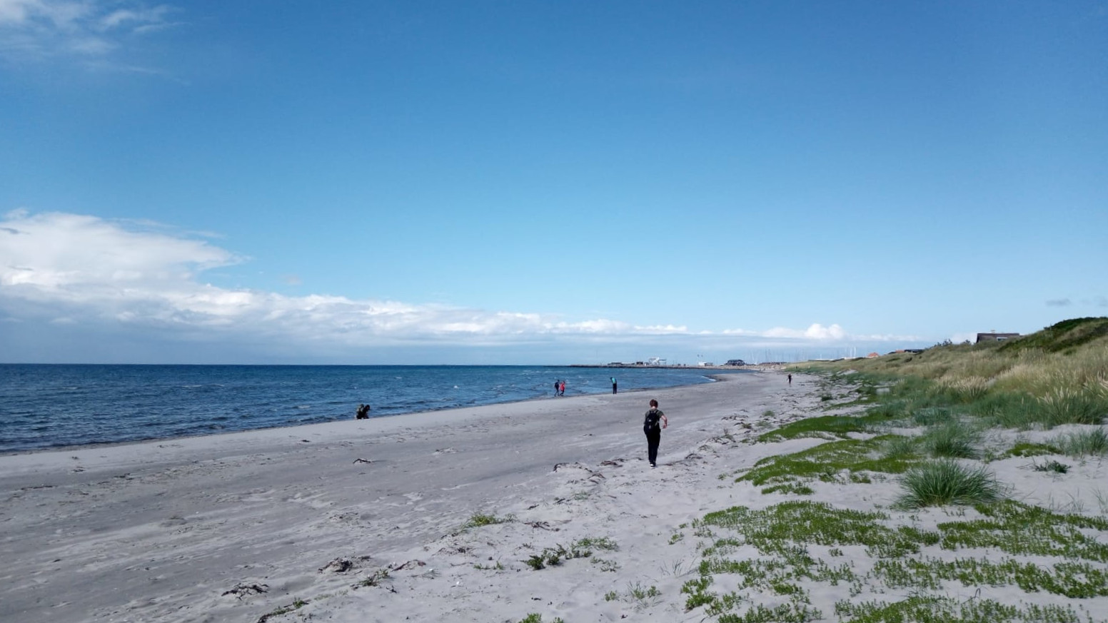 Jupfis erkunden die Insel Læsø
