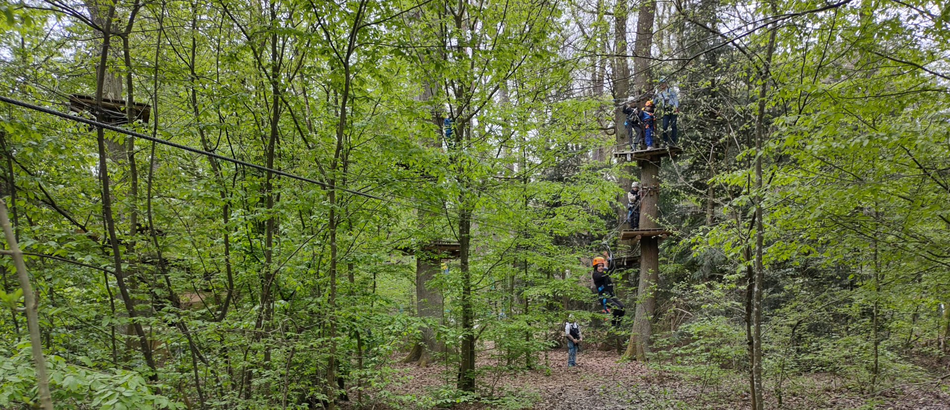 Jupfis im Kletterwald