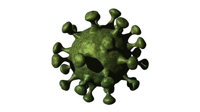 Corona-Virus