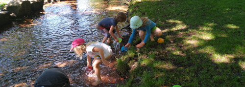 Sommeraktionen der Wölis