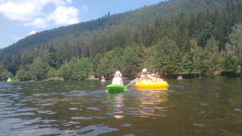 Sommerlager der wilden Affenbande