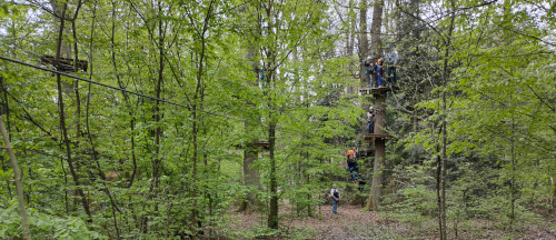 Jupfis im Kletterwald