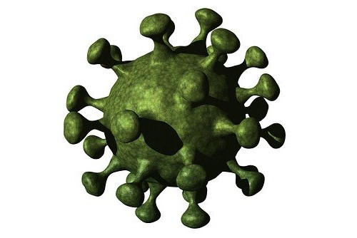 Corona-Virus